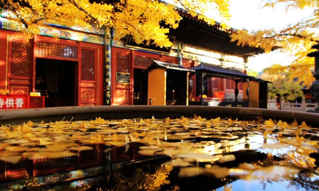 Beijing - Mutianyu Great Wall Scenic Area【Explore Fun】One-Day Trip(图5)