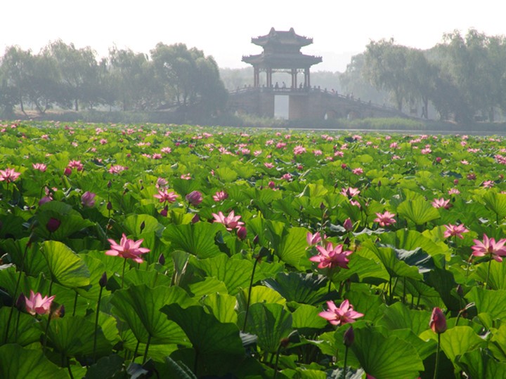 Kunming Lake Area West Causeway(Xidi)(图5)