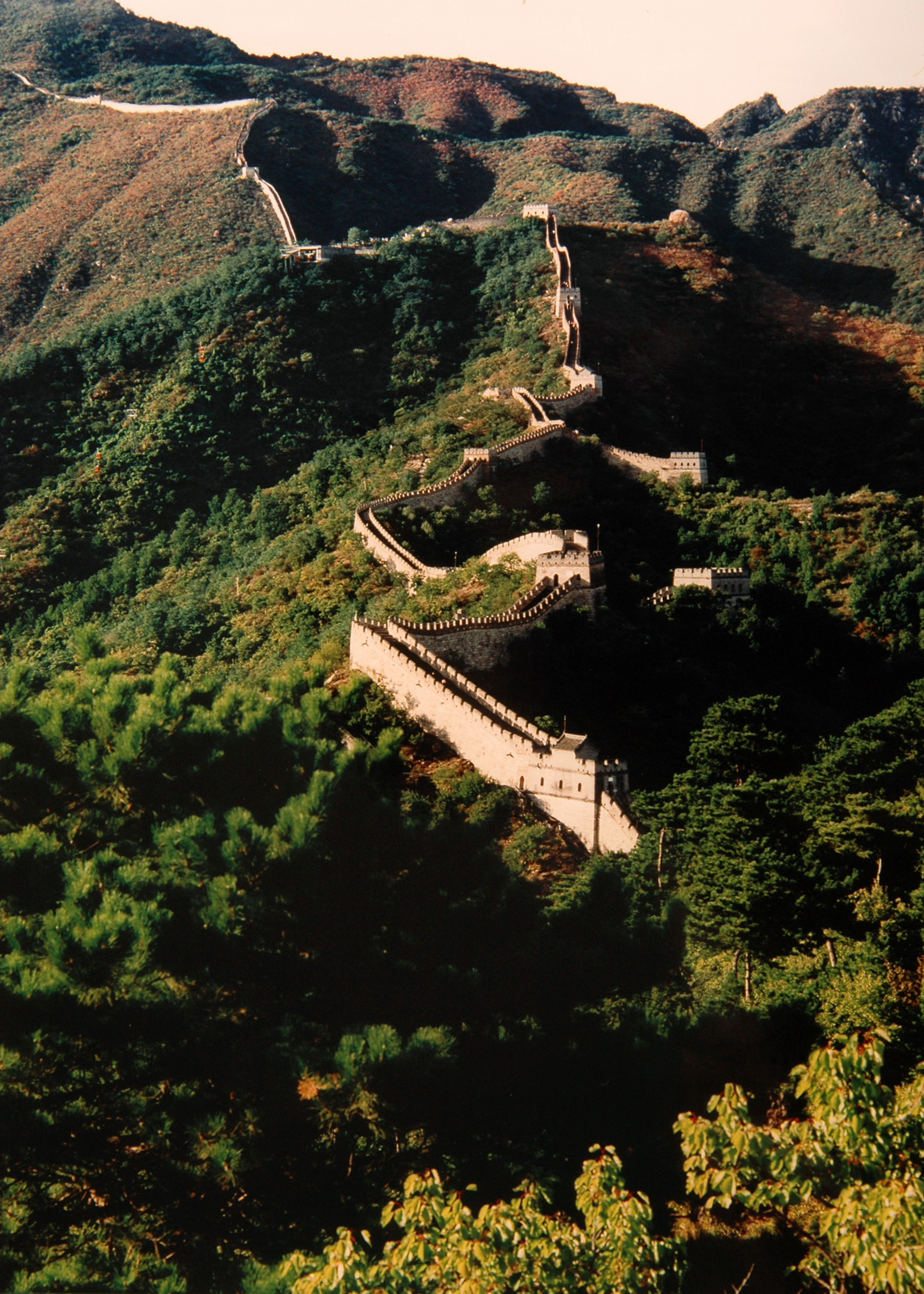 "Niu Ji Jiao Bian" (Bull's Horn): Mutian