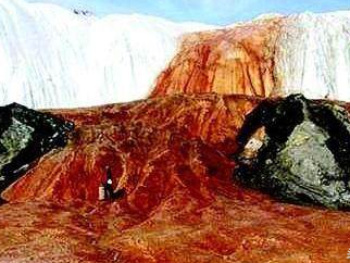 Antarctic Peninsula/ Port Lockroy (Goudier Island)